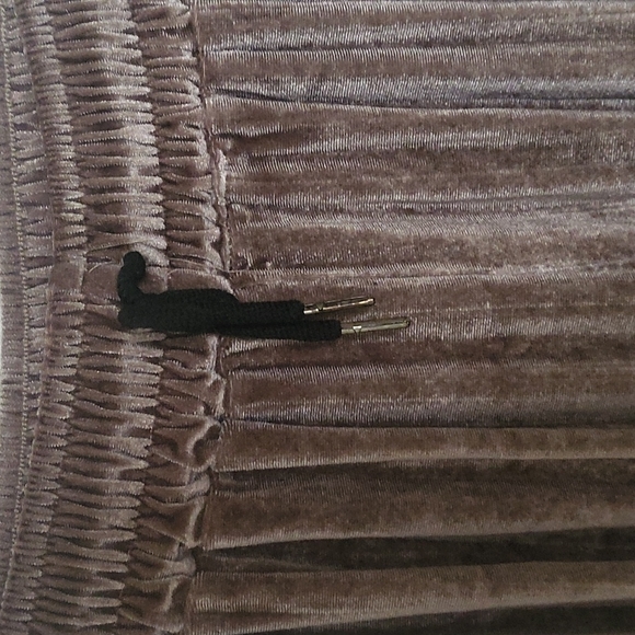 Velvet Pants - Picture 2 of 2